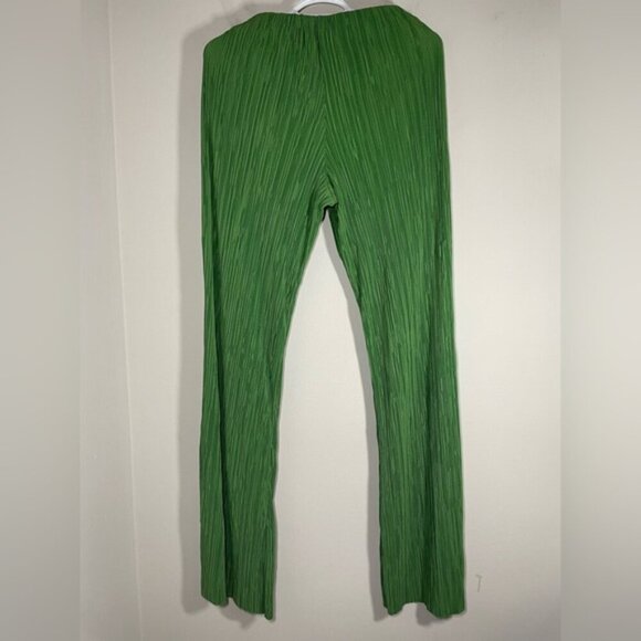 Zara Set Blogger’s Favourite Green Button Down Shirt and Pants - Picture 13 of 15